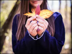 Dziewczynka, Jesień, Ręce, Liście