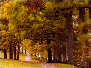 Park, Jesień, Aleja, Szpaler Drzew