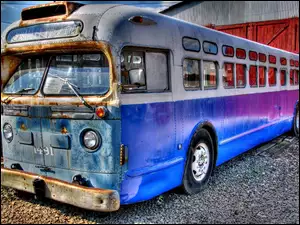 Stary, Autobus