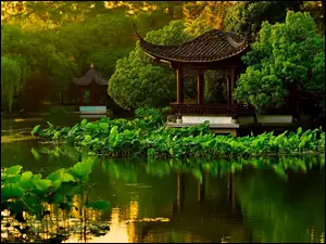 Hangzhou, Drzewa, Park, Staw, Chiny, Altanki, Liście Lotosu