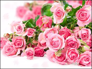 Róż, Romantyczny, Bukiet