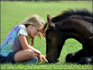 Zaprzyjaźniona dziewczynka z koniem na łące