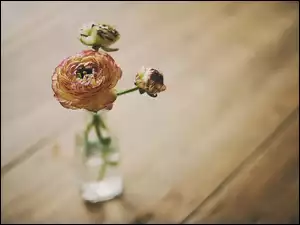 Butelka, Kwiatek, Kwiatki