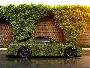 Mazda, Mur, RX-7, Rośliny