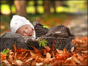 Sesja zdjęciowa śpiącego niemowlęcia w koszyku na jesiennych liściach