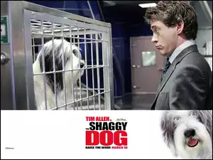 mężczyzna, The Shaggy Dog, pies, schronisko, klatka