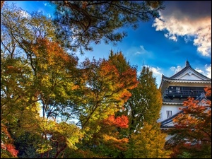 Japonia, Zameczek, Jesień