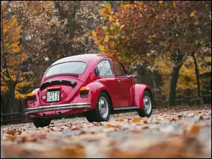 Garbus, Jesień, Samochód, Drzewa, Volkswagen