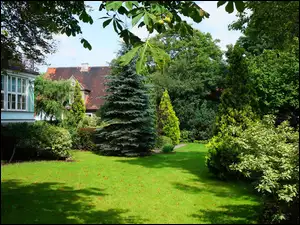 Ogród, Trawnik, Drzewa, Zieleń