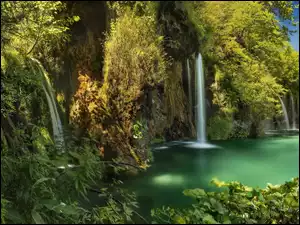 Rośliny otaczające wodospad i jezioro