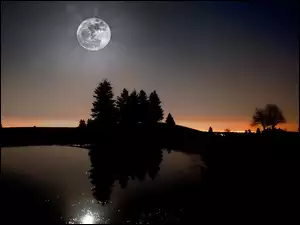 Odbicie, Jezioro, Noc, Drzewa, Księżyc