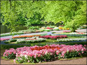 Park, Kwiaty, Holandia, Wiosna, Keukenhof, Staw