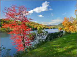 Jesień, Jezioro, Vermont, Lasy
