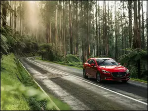 Samochód Mazda 3 mknie przez zielony las