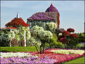 Wiosna, Drzewa, Ogrody, Ekspozycje Kwiatowe, Dubaju, Kwitnące