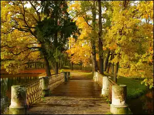 Park, Mostek, Jesień, Drzewa
