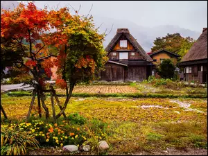 Domy i drzewa w pięknych kolorach złotej jesieni