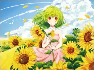 Dziewczynka pośród słoneczników w japońskiej Manga Anime