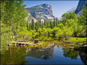 Latni krajobraz Parku Narodowego Yosemite w Kalifornii