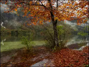 Jesień zawitała nad górską rzekę