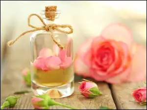 Butelka z olejkiem różanym obok róży i pąków na deskach