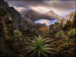 Tasman National Park w Tasmanii na terenie Australi
