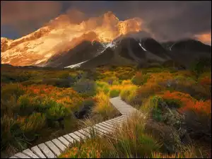 Droga w górach Nowej Zelandii prowadząca do wulkanu