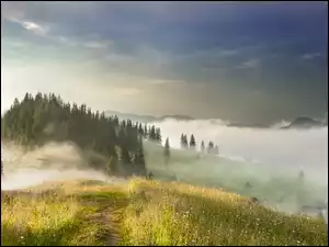 Krajobraz zamglonych ukraińskich gór o poranku
