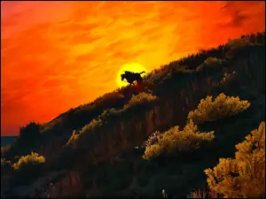 Jeździec w grze akcji Wiedźmin 3 Dziki Gon