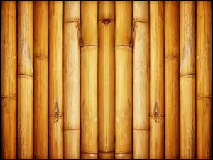 Tekstura bambusowa w grafice komputerowej