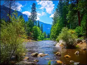 Kamienista rzeka w Narodowym Parku Yosemite w Kaliforni