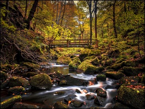 w jesiennym lesie mostek nad potokiem z kamieniami i opadającymi liśćmi