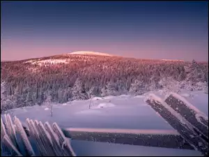 Obszar górski Sallatunturi w Laponii