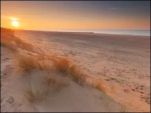 Wschód słońca na plaży