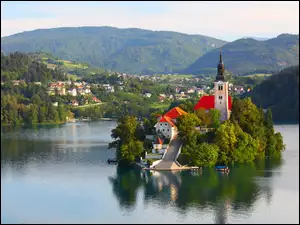 Kościół, Słowenia, Drzewa, Jezioro Bled, Wyspa Blejski Otok