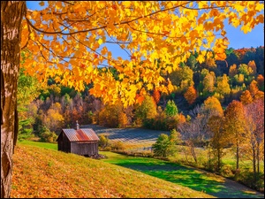Leśna chatka na polu jesienią