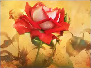 Czerwona róża w malarstwie Alberta Guillena