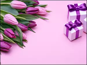 Tulipany fioletowe i prezenty