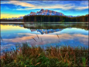 Las, Góry, Prowincja Alberta, Kanada, Trawa, Park Narodowy Banff, Jezioro