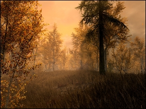 Las jesienią w obrazie gry The Elder Scrolls V: Skyrim