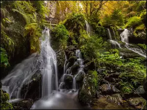 Wodospad na skałach i omszałych kamieniach w lesie