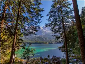 Jezioro górskie z kamieniami i drzewami