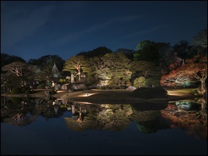 Nocny park z stawem w Tokio