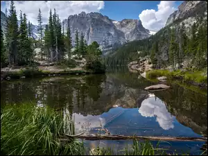 Górskie jezioro z drzewami i trawą