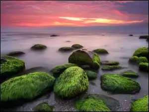 Zachód Słońca nad morskimi kamieniami i wodorostami