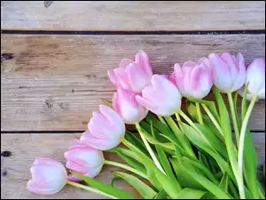 Bukiet tulipanów z liśćmi