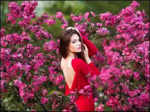 Kobieta w czerwonej sukni i kwitnącym krzewem