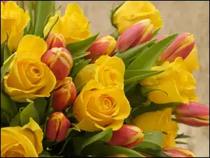 Bukiet barwnych kwiatów