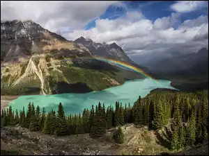 Jezioro Peyto Lake, Góry, Prowincja Alberta, Tęcza, Park Narodowy Banff, Kanada