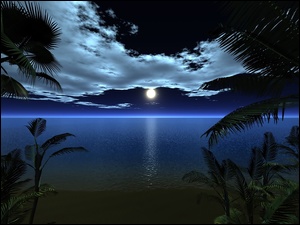Ocean, Noc, Palmy, Plaża, Księżyc